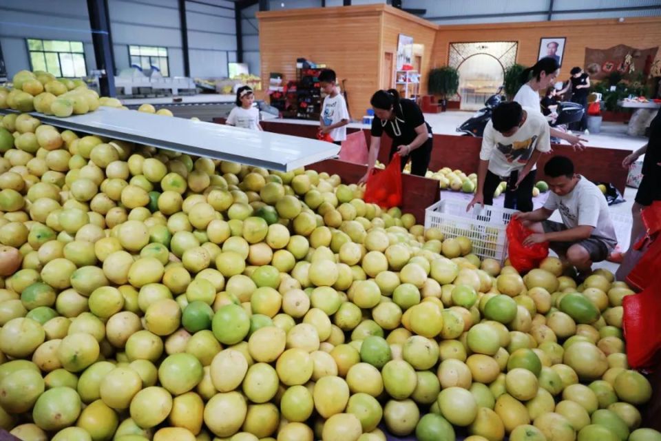 蜜柚安卓版腾讯水滴借款app下载安卓-第2张图片-太平洋在线下载