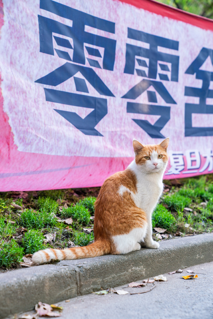 懒小喵客户端最懒影视app官方客户端下载