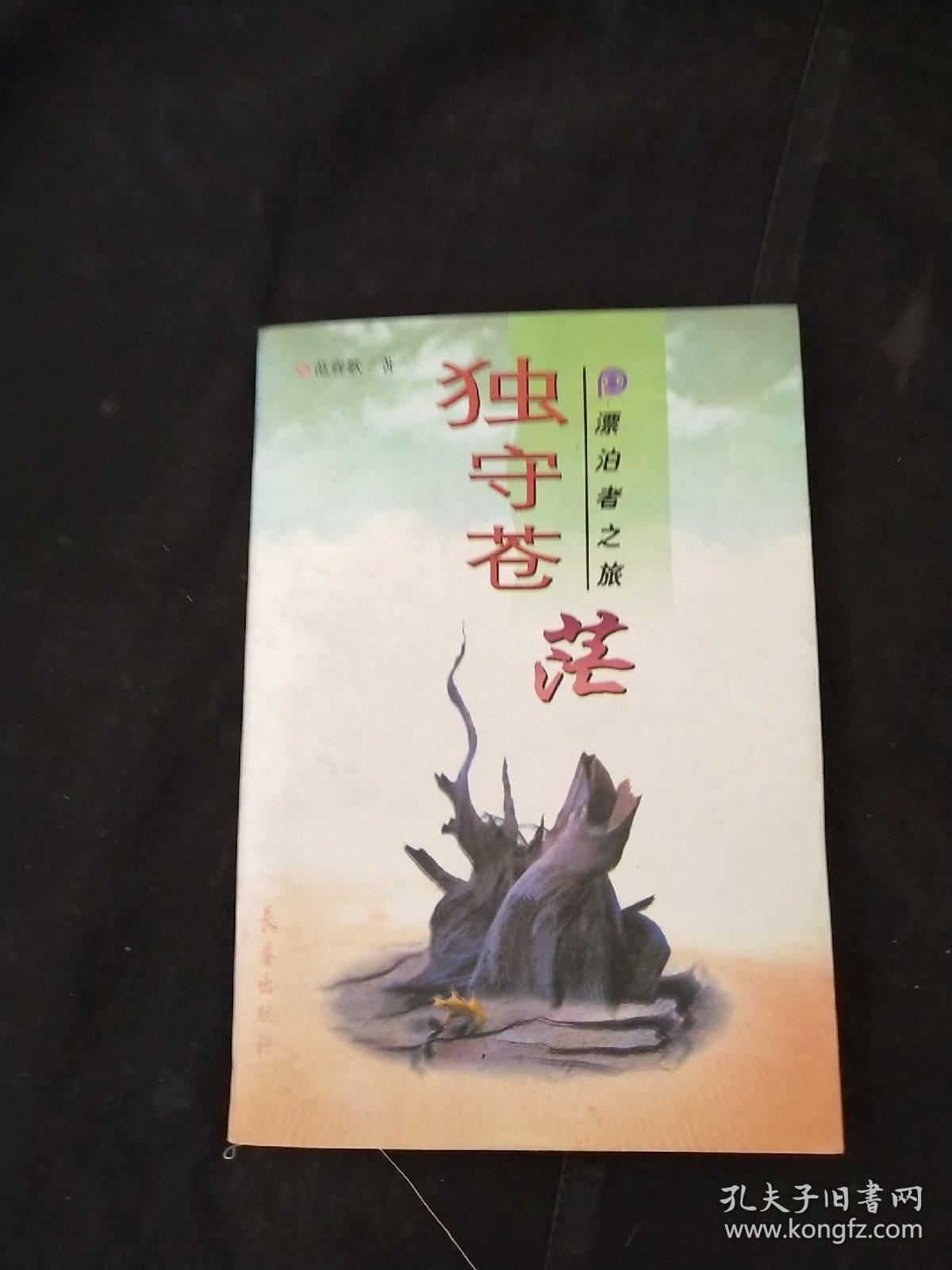 漂泊之旅安卓版下载乞丐的旅途中文安卓版下载-第2张图片-太平洋在线下载